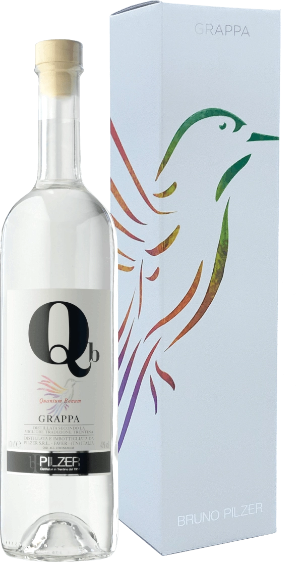 Бруно Пилцер в п/к